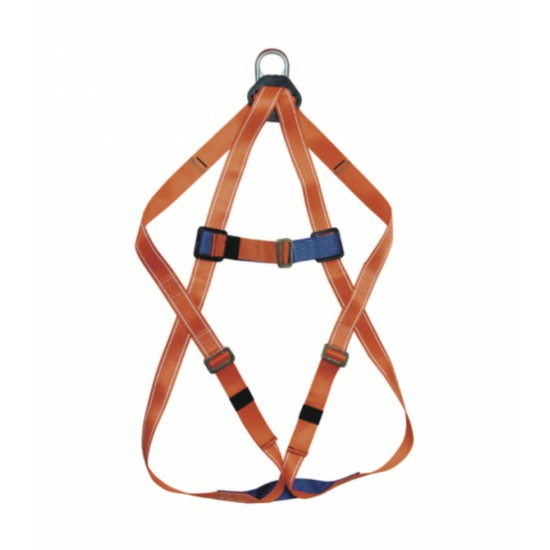 ARNES DE CUERPO COMPLETO 1 ARGOLLAS
