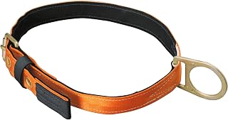 Cinturón para el Cuerpo Titan con Anillo D
